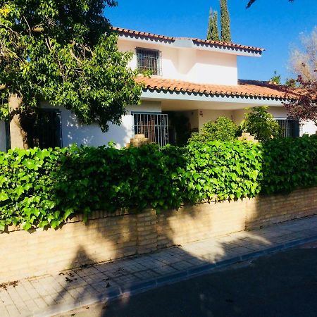 Villa Ferrer Sevilla Gines Екстер'єр фото