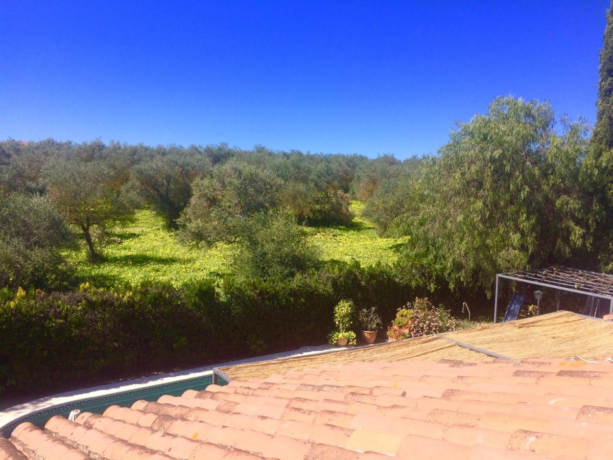 Villa Ferrer Sevilla Gines Екстер'єр фото