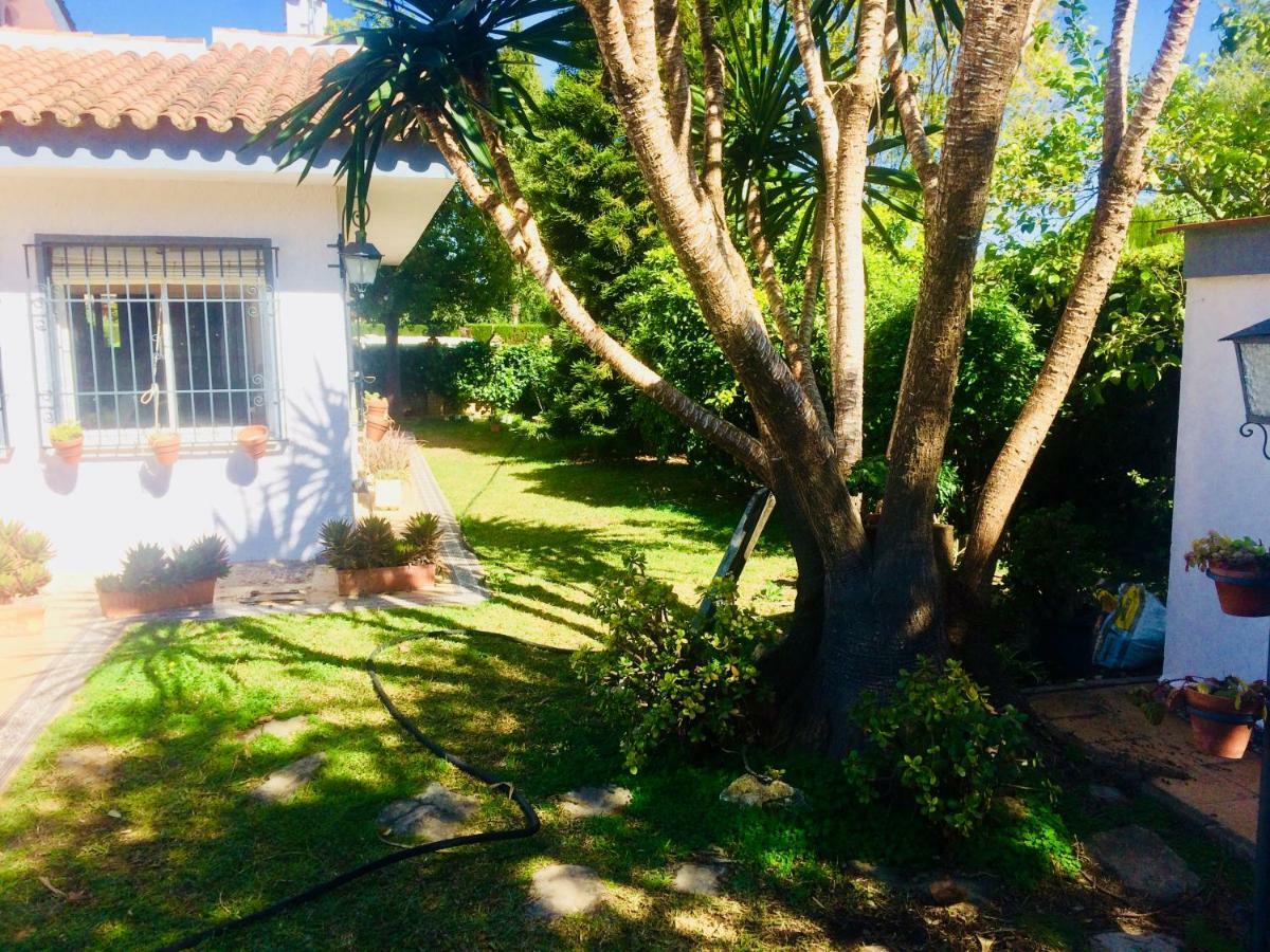 Villa Ferrer Sevilla Gines Екстер'єр фото