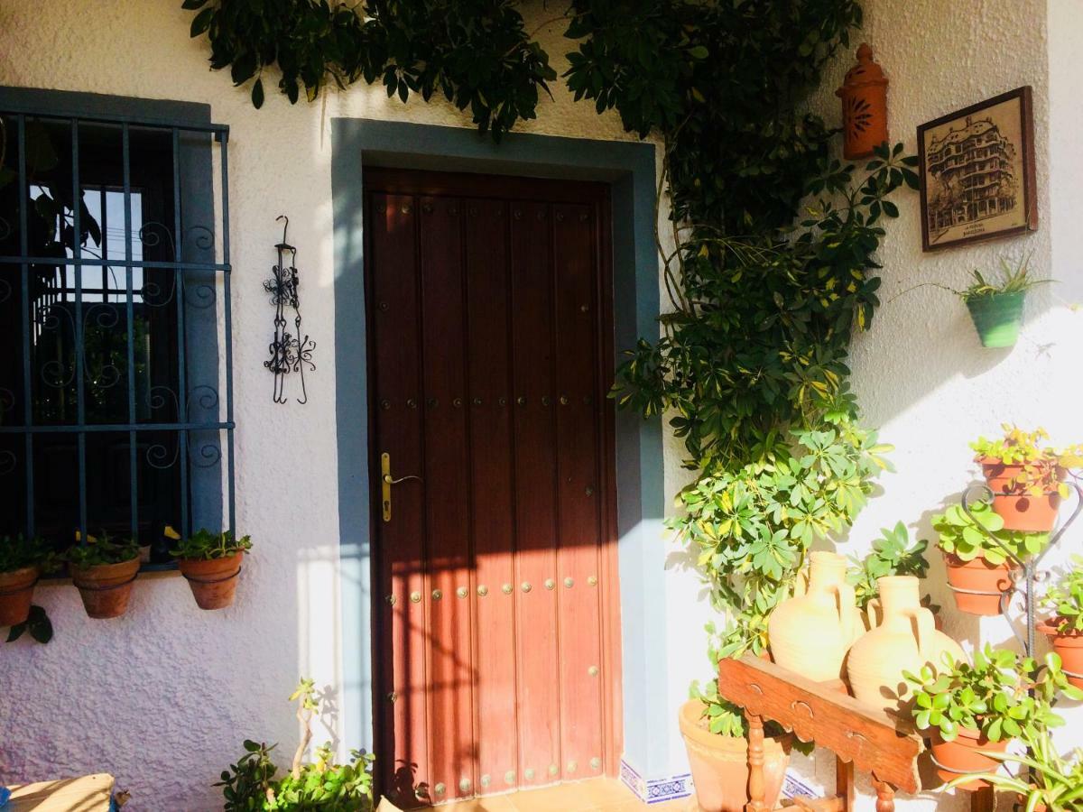 Villa Ferrer Sevilla Gines Екстер'єр фото